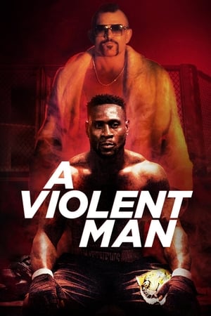 A Violent Man 2017 Hindi Dual Audio 480p WebRip 330MB A Violent Man 2017 Hindi Dual Audio 480p WebRip 330MB
